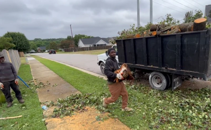 Tree removal job completed Madison WI