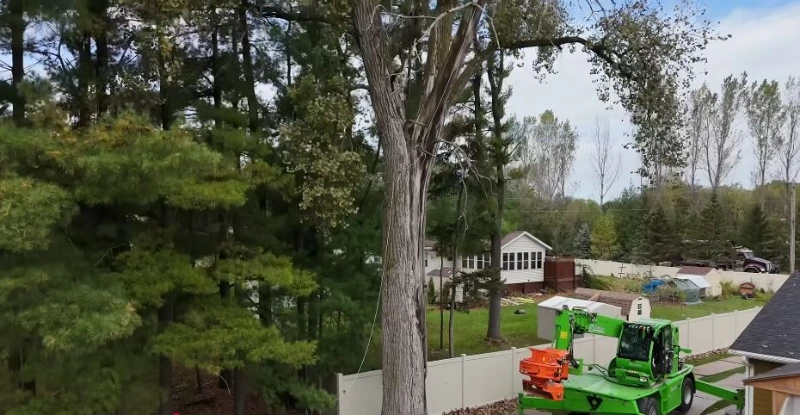 Tree removal crew Wisconsin