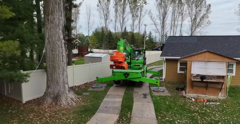 Tree removal in progress Madison WI