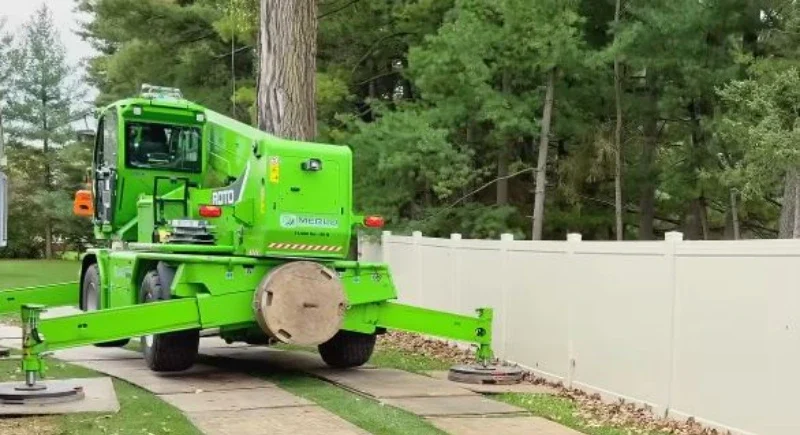 Tree removal Wisconsin