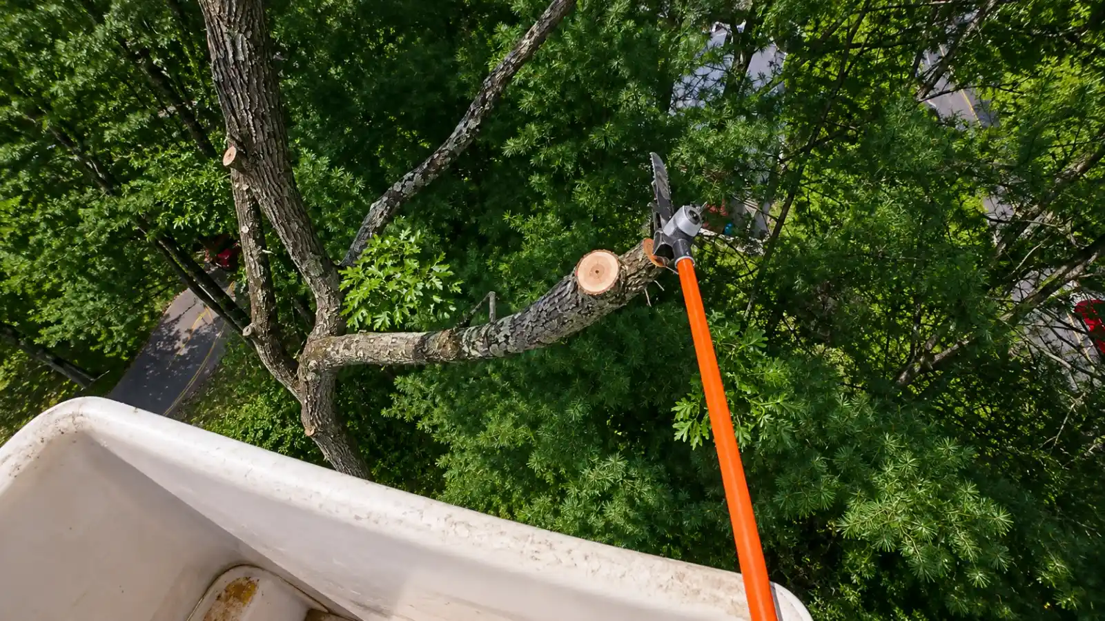 Land Clearing Madison WI